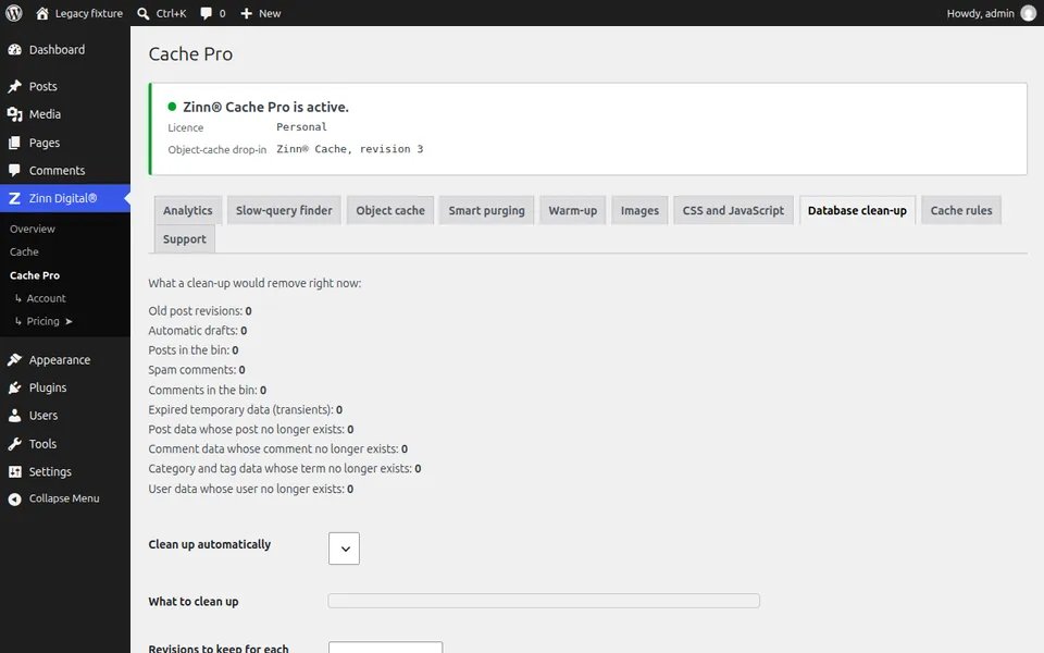 Clean up the WordPress database