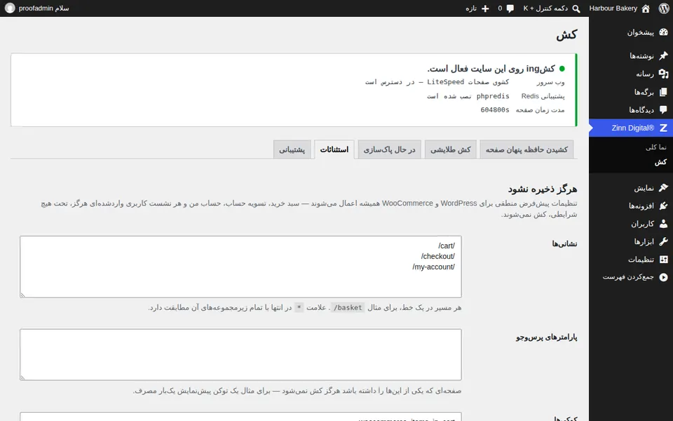 مستثنی کردن یک صفحه از حافظه پنهان