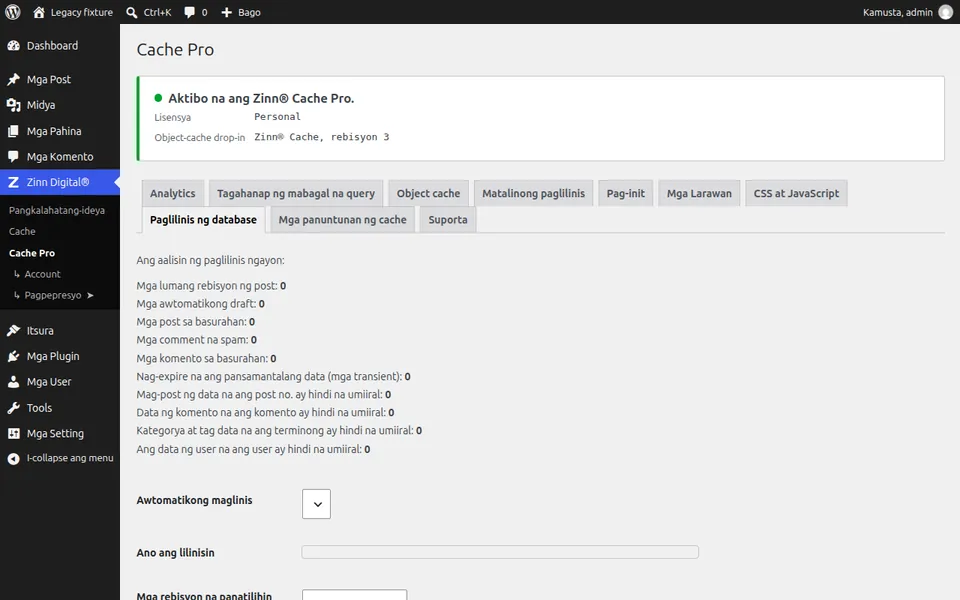 Linisin ang database ng WordPress