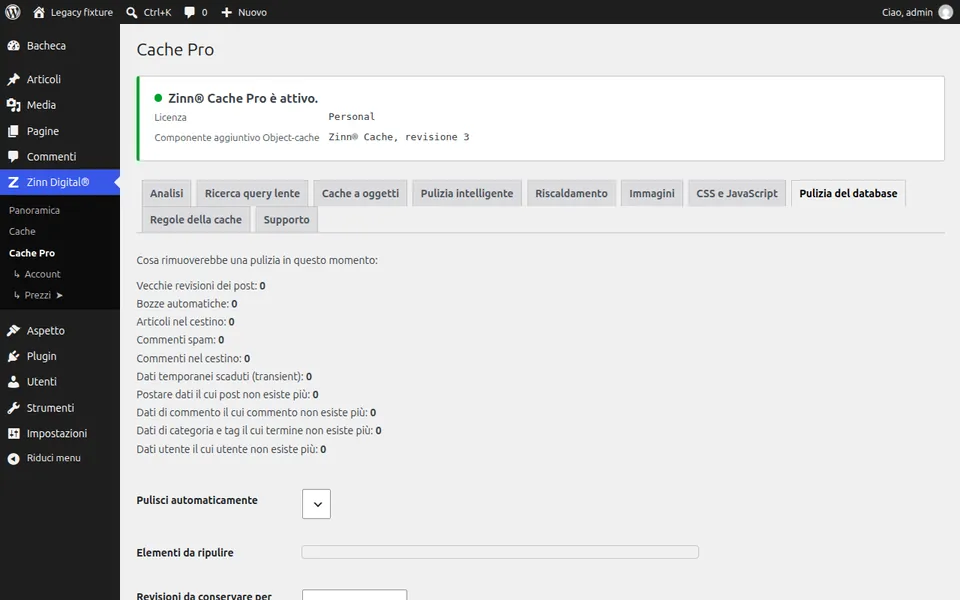 Pulisci il database di WordPress