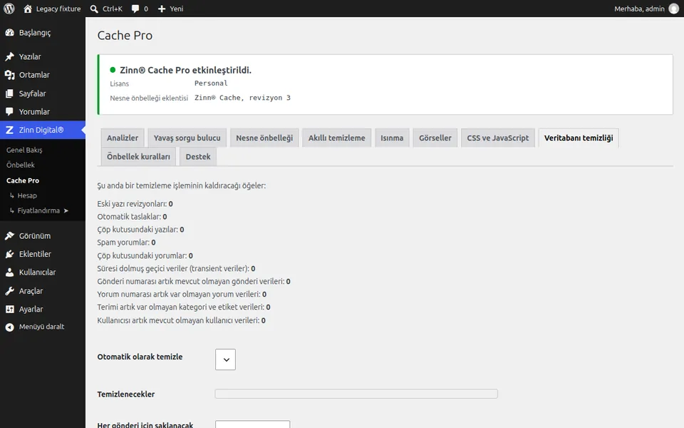 WordPress veritabanını temizleyin