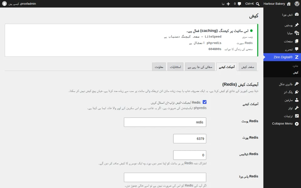 WordPress کے لیے Redis آبجیکٹ کیشے آن کریں